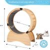 Cat Exercise Wheel ‚Äì Running, Spinning, and Scratching Fun, Cat Treadmill with Carpeted Runway, Kitty Cat Sport Toy, Great for Physical Activity and