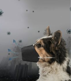 Go out pet mouth cover (Option: S-1pc)